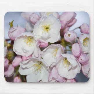 Mousepad de ameixa japonês