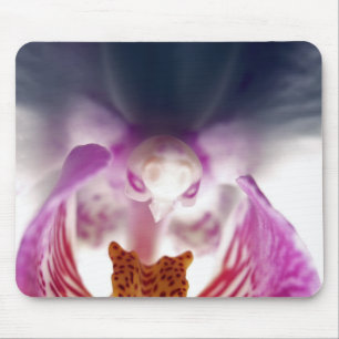 Mousepad de Aparição de Orquídea