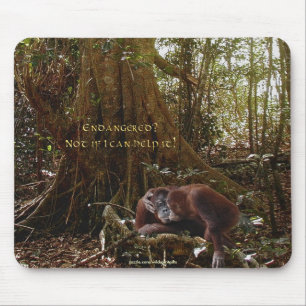 Mousepad de apoio à vida selvagem na floresta de O