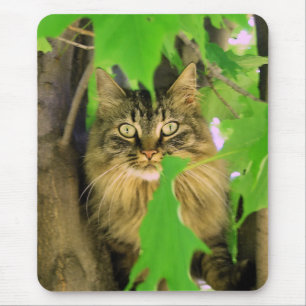 Mousepad de Árvore Cat