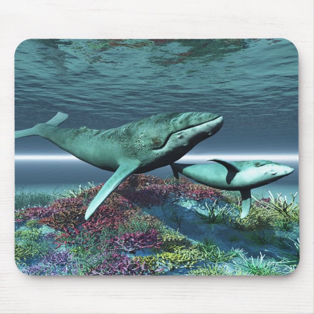 MOUSEPAD DE BALEIA (Frente)