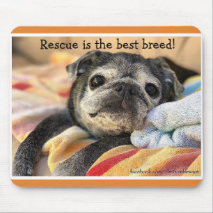 Mousepad de Bumblesnot: O salvamento é a melhor