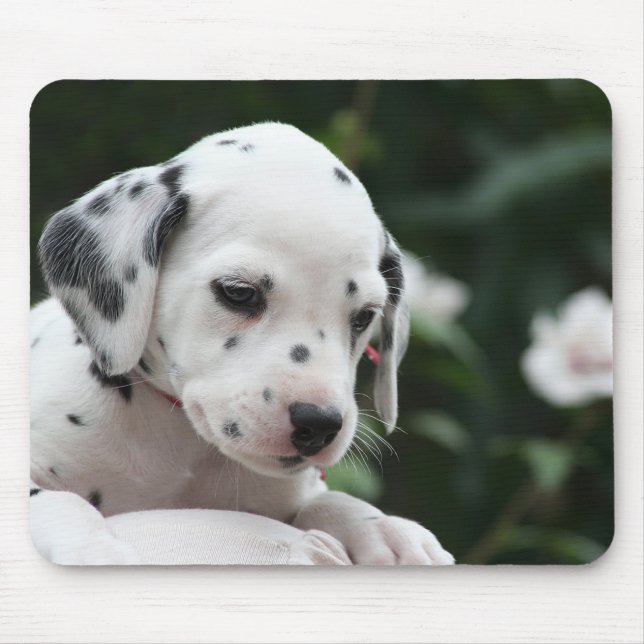 Mousepad de Cachorrinho Dálmata (Frente)