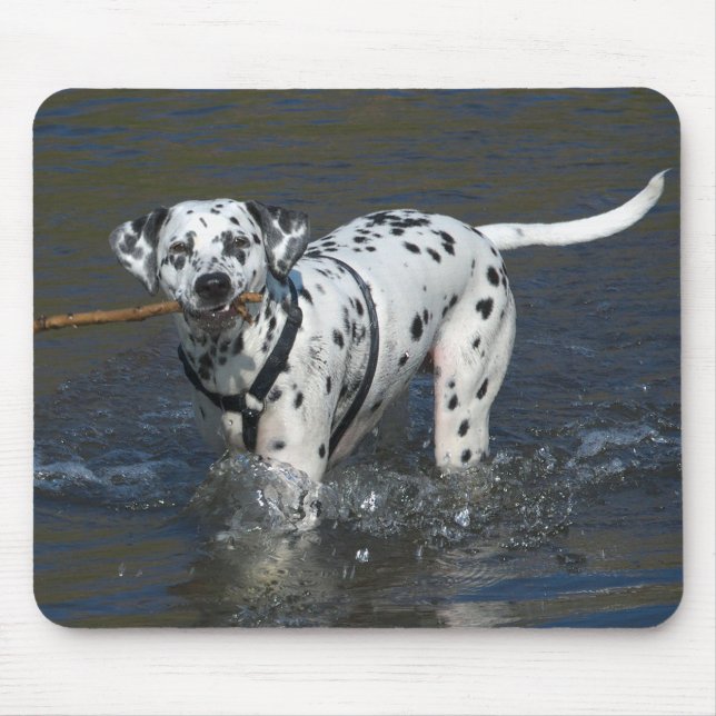 Mousepad de Cachorrinho Dálmata (Frente)