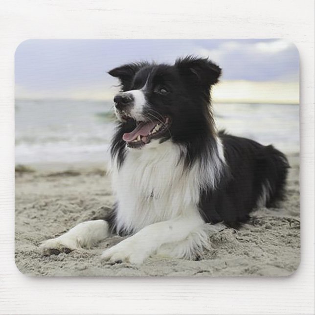 Mousepad de Cachorro Border Collie Filhote Amor (Frente)