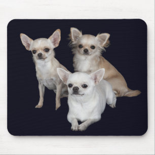 Mousepad de Cachorro Chihuahua Fofinho