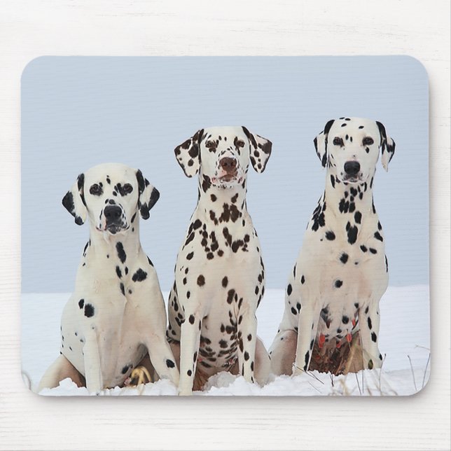 Mousepad de Cachorro Filhote Dálmata (Frente)