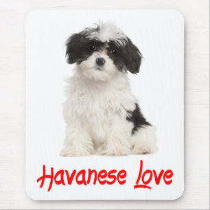 Mousepad de Cachorro Havanês Fofo
