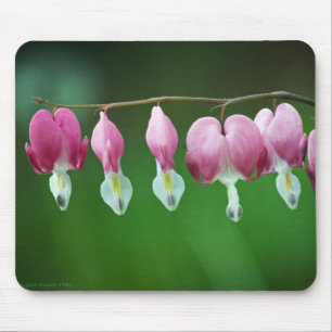 Mousepad de Caracteres Rosa