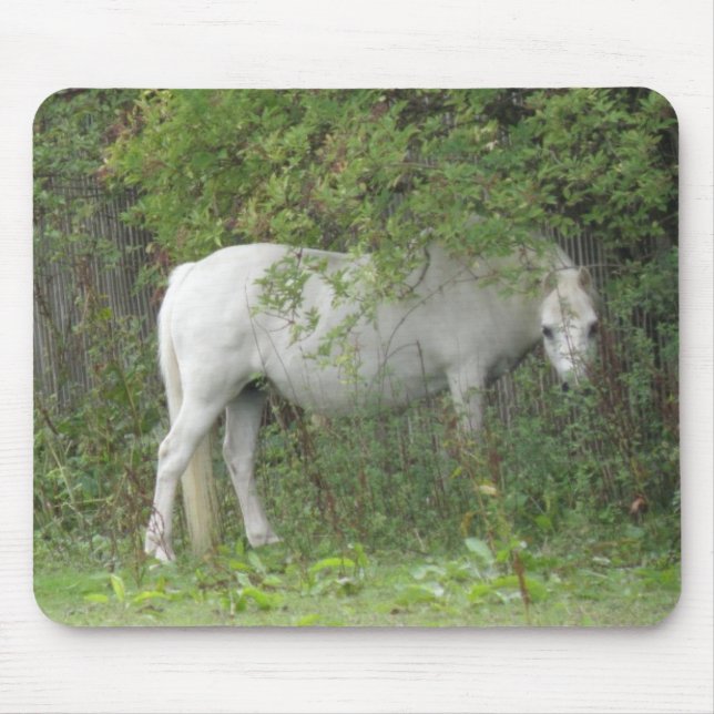 Mousepad de Cavalo Branco Tímido (Frente)