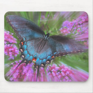 Mousepad De cima de