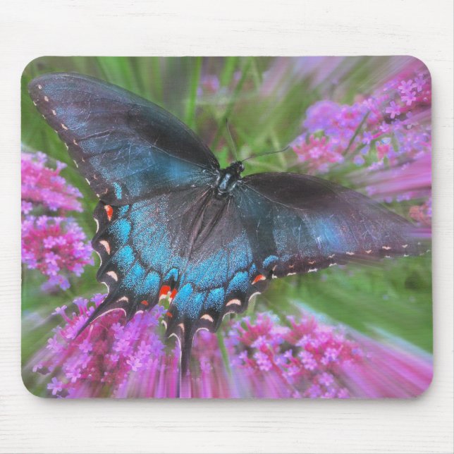 Mousepad De cima de (Frente)