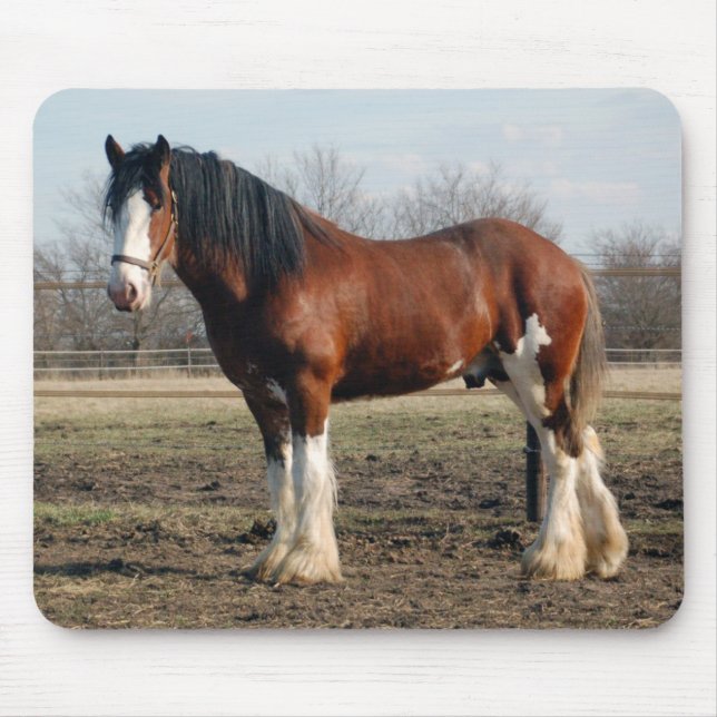 Mousepad de Clydesdale (Frente)