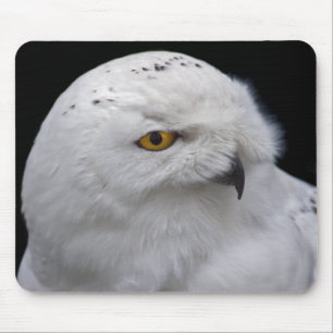 Mousepad de Coruja-da-Neve