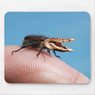 Mousepad de Crocobeetle
