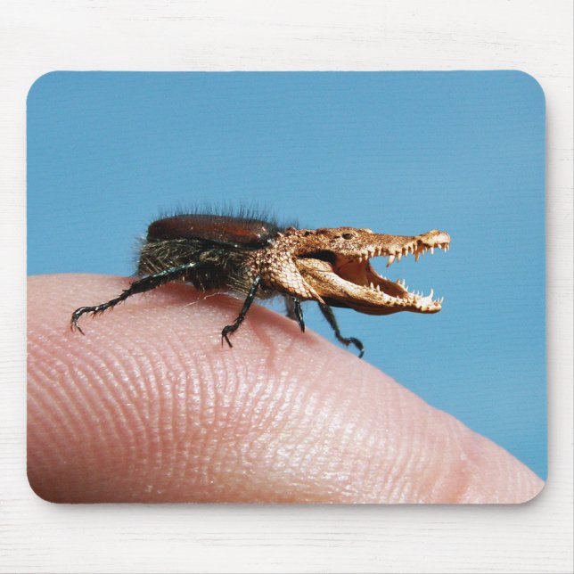 Mousepad de Crocobeetle (Frente)