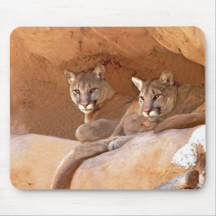 Mousepad de dois leões de montanha