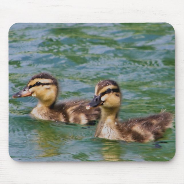 mousepad de dois patinhos (Frente)