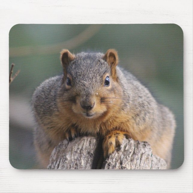 Mousepad de esquilo (Frente)