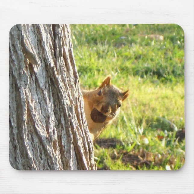 Mousepad de esquilo (Frente)