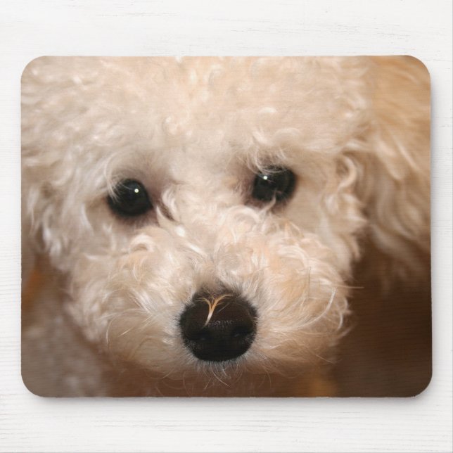 Mousepad de Filhote de Poodle Brinquedo (Frente)