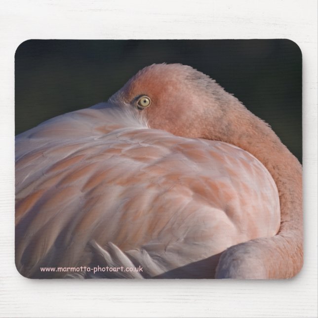 Mousepad de Flamingo Adormecido (Frente)