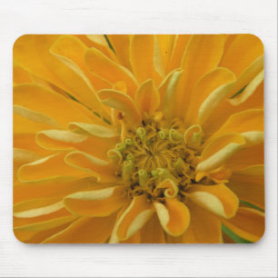 Mousepad de Flor Amarelo