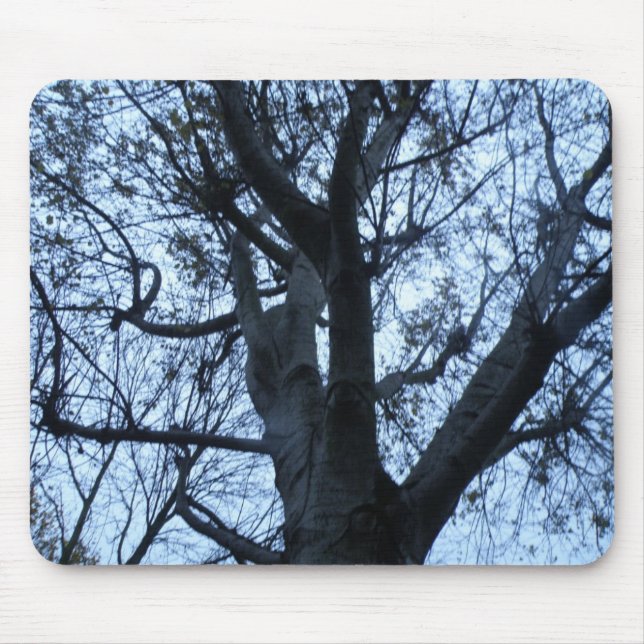 Mousepad de Fotografia de Silhueta de Árvore (Frente)
