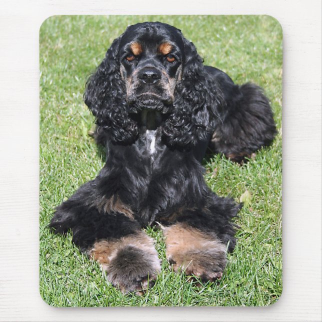Mousepad de Fotografia do Cocker Spaniel (Frente)