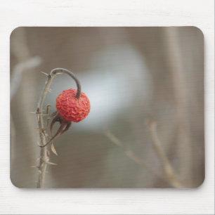 Mousepad de Fruta selvagem