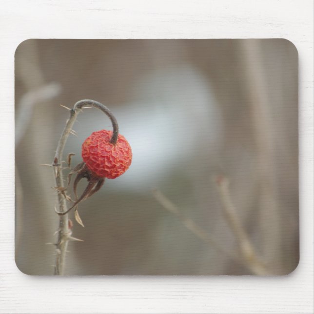 Mousepad de Fruta selvagem (Frente)
