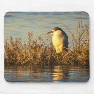 Mousepad de Garça Noturna Arte de Ave de Costa d