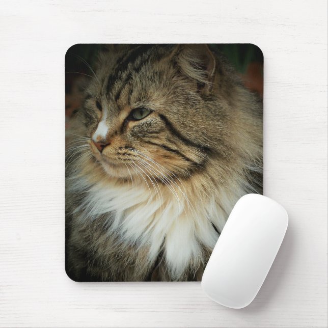Mousepad de Gata Norueguês (Com mouse)
