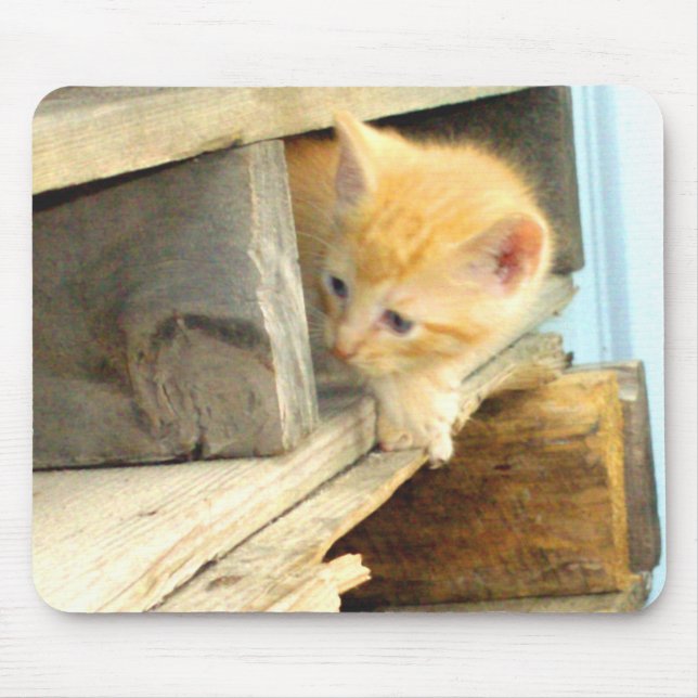MousePad de Gatos de Linha 1 (Frente)