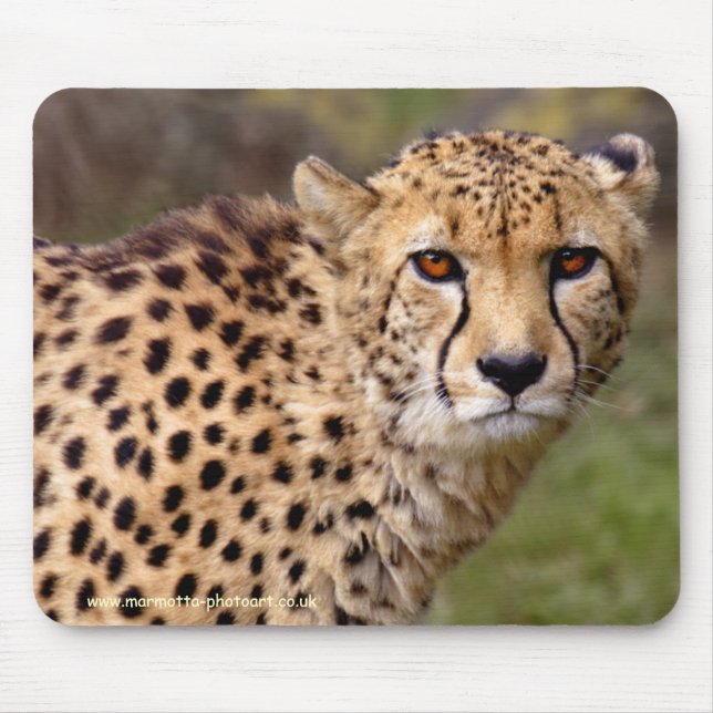 Mousepad de Guepardo (Frente)