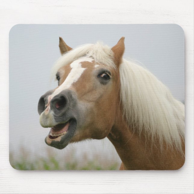 Mousepad de Haflinger (Frente)