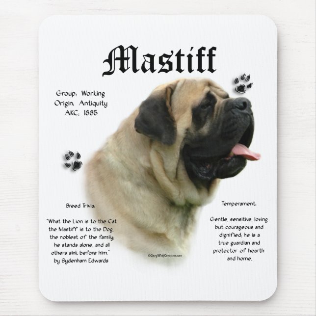 Mousepad de Histórico de Fawn (Frente)