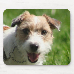 Mousepad de Jack Russell Terrier