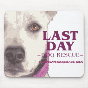 Mousepad de LDDR