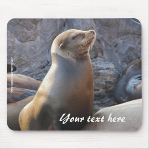 Mousepad de Leão-Marinho