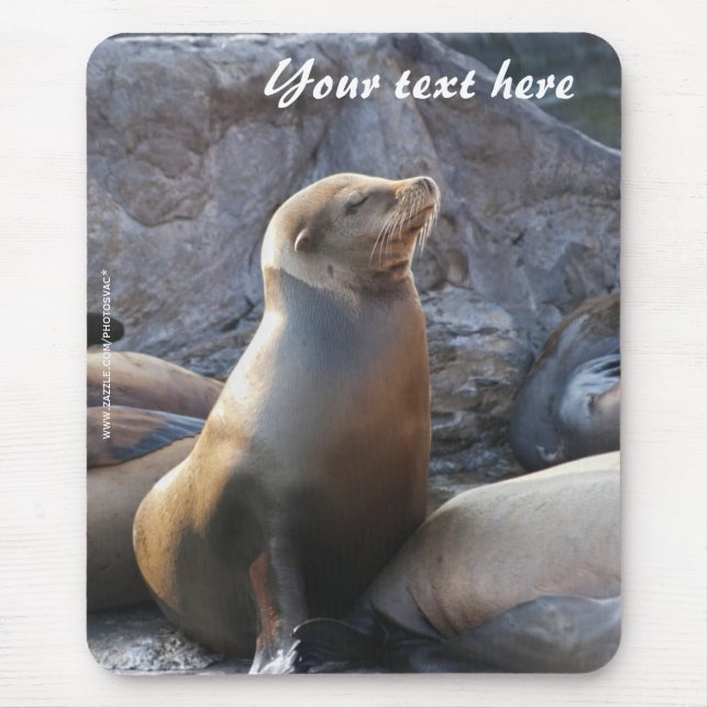 Mousepad de Leão-Marinho (Frente)