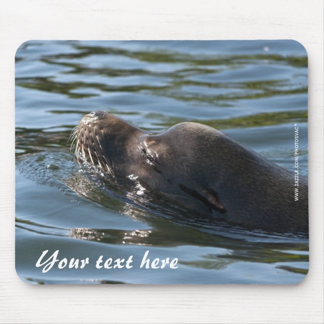 Mousepad de Leão-Marinho (Frente)