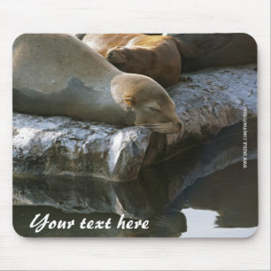 Mousepad de Leões Marinhos