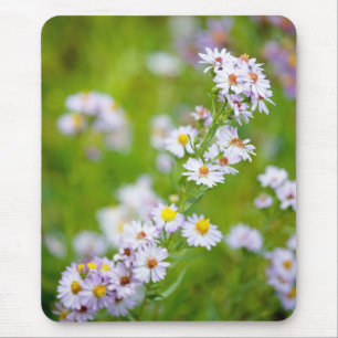 Mousepad de Linhagem de Beleza