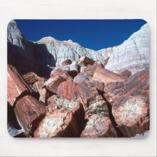 Mousepad de Madeira Petrificada