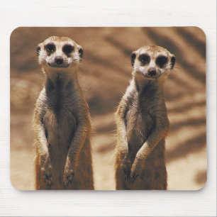 Mousepad de Meerkat