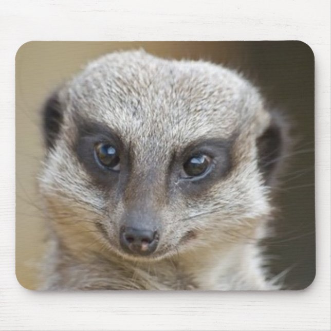 Mousepad De Meerkat fim acima (Frente)