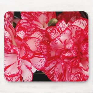 Mousepad de Núcleo Vermelho e Branco