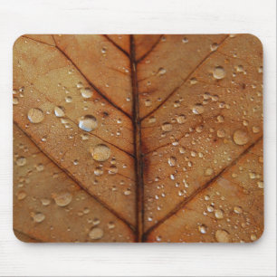 Mousepad de Outono