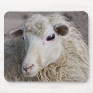 Mousepad de Ovelha